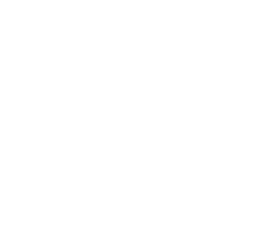 Fellow of American Associasion of Oral and Maxillofacial Surgeons